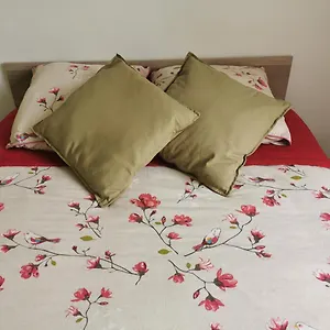 Séjour chez l'habitant Chambre Avec Accès Indépendant, Castres (Tarn)